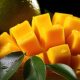 Descubre cuáles son las propiedades del mango y cuida tu salud. ¡Tiene múltiples beneficios! Puedes incluirlo en múltiples recetas