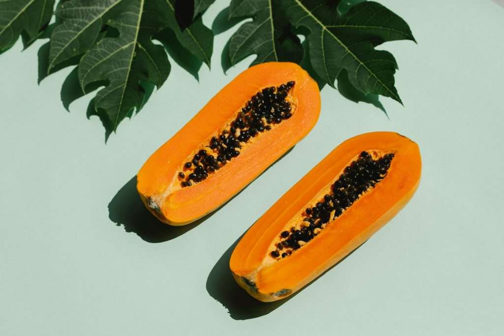 árbol de papaya