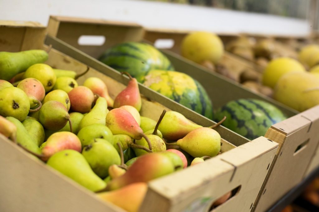 la cadena de frío en la conservación de frutas