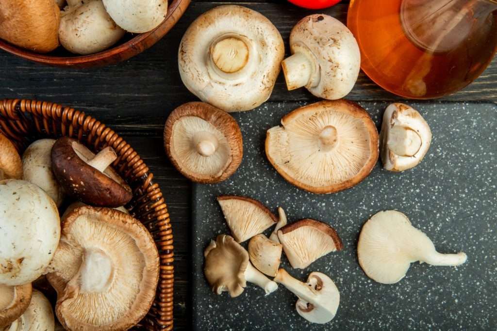 propiedades de las setas shiitake - Freshdor