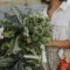 Beneficios alimenticios del kale