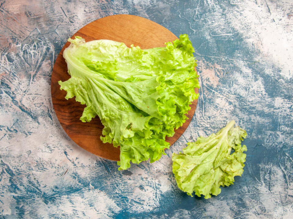 Dos hortalizas esenciales en una dieta equilibrada son el cogollo y lechuga romana que, aunque se parecen, son muy distintos entre sí