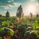 agricultura regenerativa y productos BIO